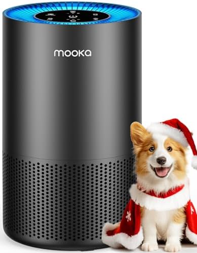 M200L Air Purifiers for Home Large Room 2200ft² + AP-S0610L Air Purifiers for Home Black