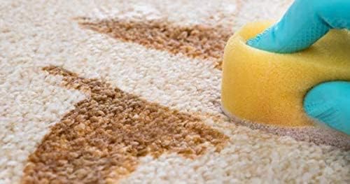 Capture Carpet Total Care Kit 400 Pet Stain & Odor Neutralizer (32 oz), Pet Stain Remover for Carpet, Rug, Couch, Car & Upholstery - Bundle