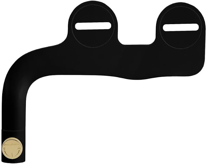 Swiss Madison Aqua Non-Electric Bidet Toilet Attachment in Glossy Black with Polished Gold Hardware