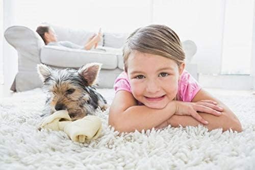 Capture Carpet & Rug Dry Cleaner (2.5lb) Pet Stain & Odor Neutralizer (32 oz), Pet Stain Remover for Carpet, Rug, Couch, Car & Upholstery - Bundle