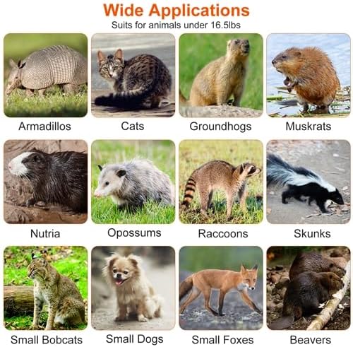 Humane Animal Trap Cage Collapsible Cat Trap Cage Live Animal Rodent Cage with Galvanized Wire for Raccoons Beavers Groundhogs Armadillos