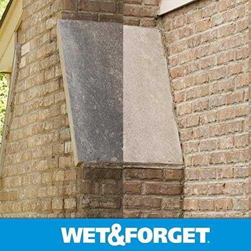 Wet & Forget Moss, Mold, Mildew, & Algae Stain Remover Multi-Surface Outdoor Cleaner Concentrate, Original, 64 Fluid Ounces