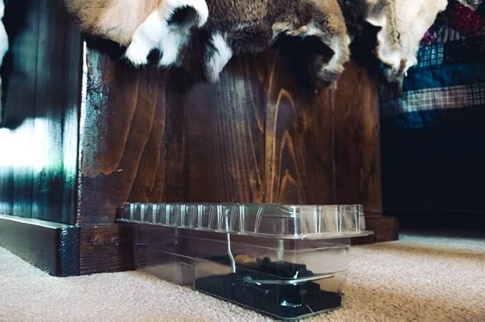 DoomBox™ Clear Enclosed Mouse Trap | Keeps the Mess with the Mouse | Patented Click-It™ Closure Technology | Safe for Kids & Pets | Certified Child Resistant | Made in USA (5) (Clear)