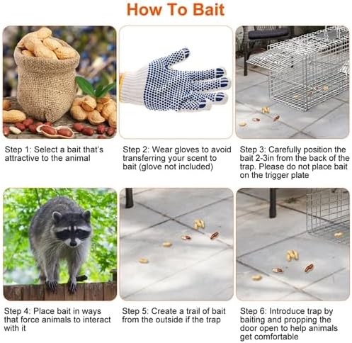Humane Animal Trap Cage Collapsible Cat Trap Cage Live Animal Rodent Cage with Galvanized Wire for Raccoons Beavers Groundhogs Armadillos