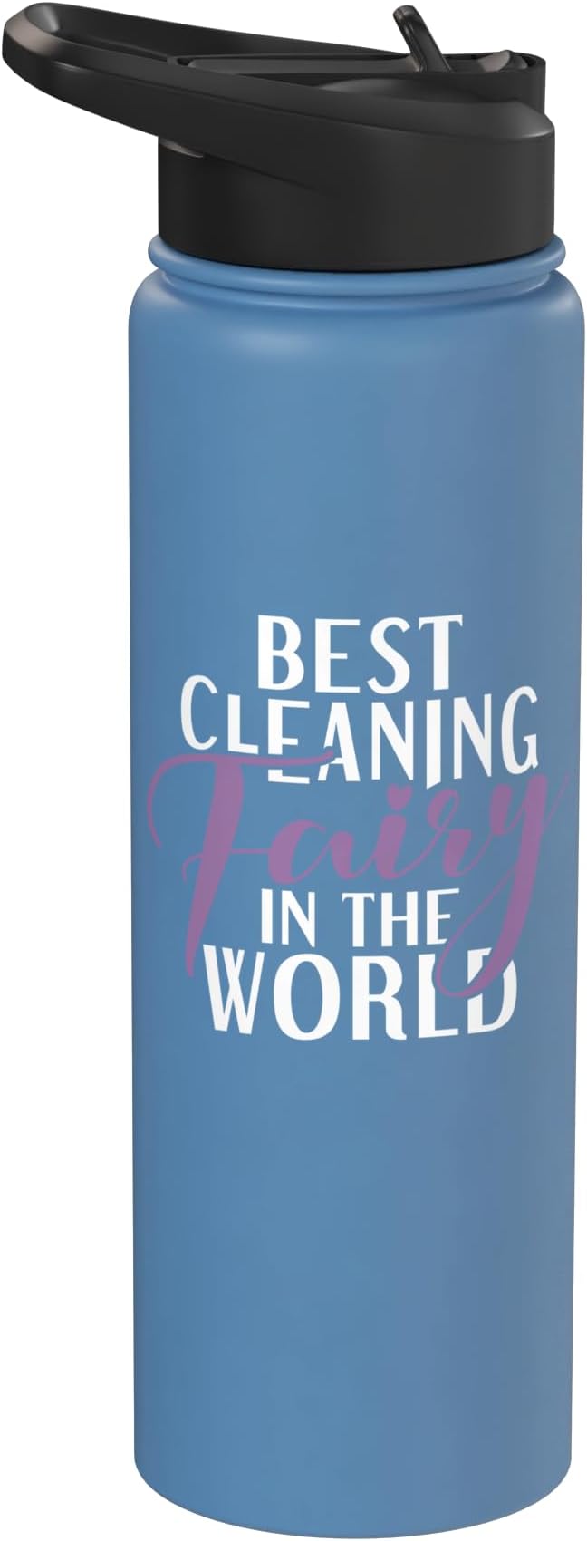 Best Cleaning Fairy in the World Janitor Custodian Stainless Steel Insulated Water Bottle