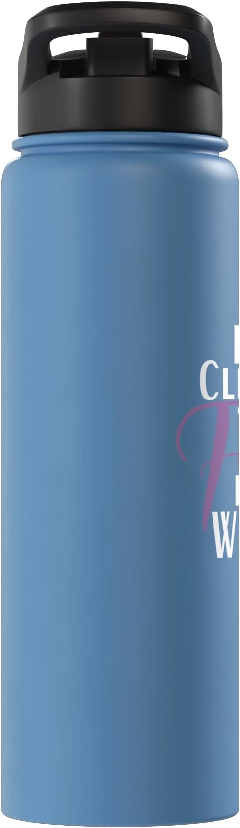 Best Cleaning Fairy in the World Janitor Custodian Stainless Steel Insulated Water Bottle