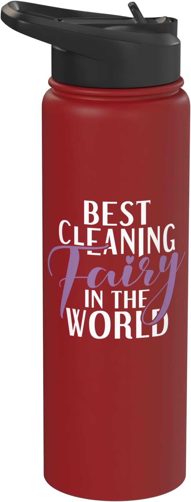 Best Cleaning Fairy in the World Janitor Custodian Stainless Steel Insulated Water Bottle