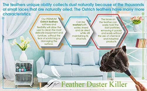 12 Pack Retractable Feather Duster (12 to 16 Inches)