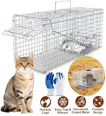 Live Humane Animal Trap Cage Cat Trap Folding Catch and Release for Raccoons Opossums Skunks Feral Cats Squirrels Rabbit 25.59Inch