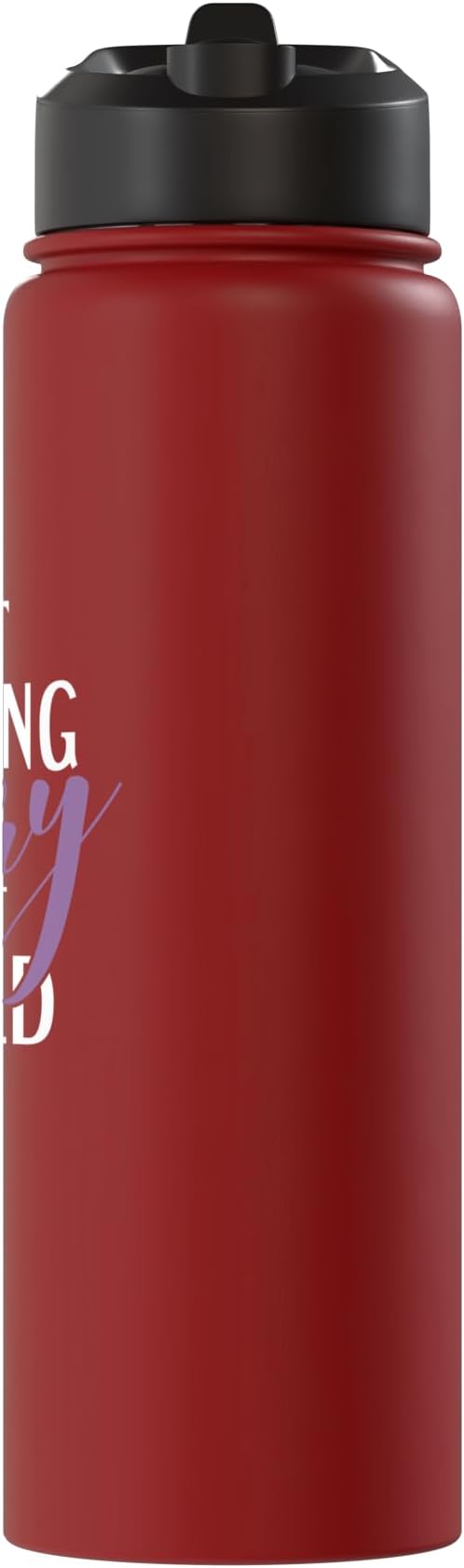 Best Cleaning Fairy in the World Janitor Custodian Stainless Steel Insulated Water Bottle