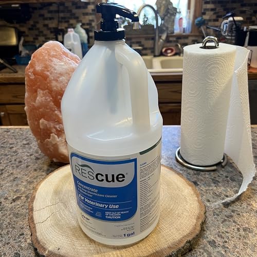 eBun White Gallon Pump Dispenser 1 Pack and eBun Black Gallon Pump Dispenser 1 Pack Bundle