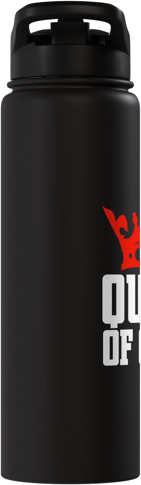 Queen of Clean Cleaning Stainless Steel Insulated Water Bottle