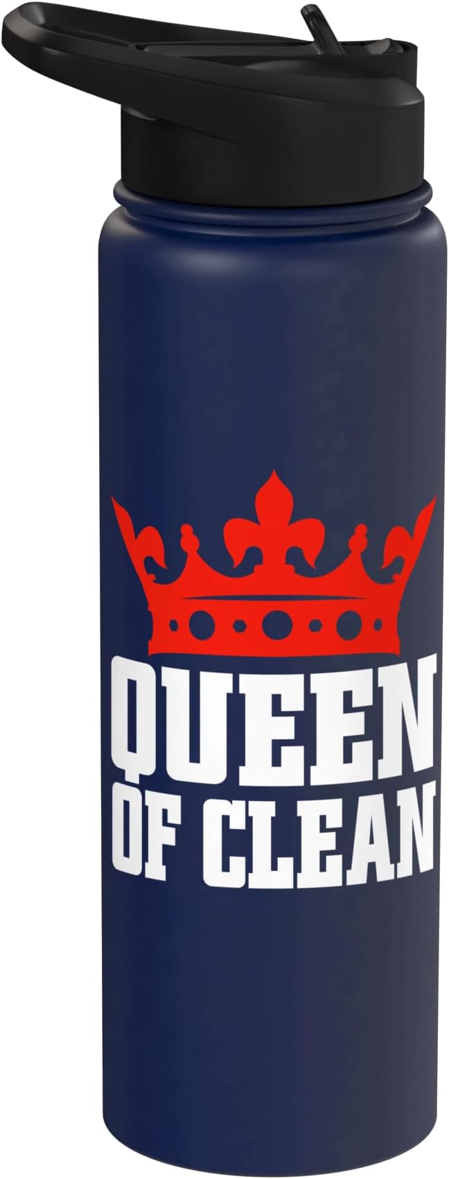 Queen of Clean Cleaning Stainless Steel Insulated Water Bottle