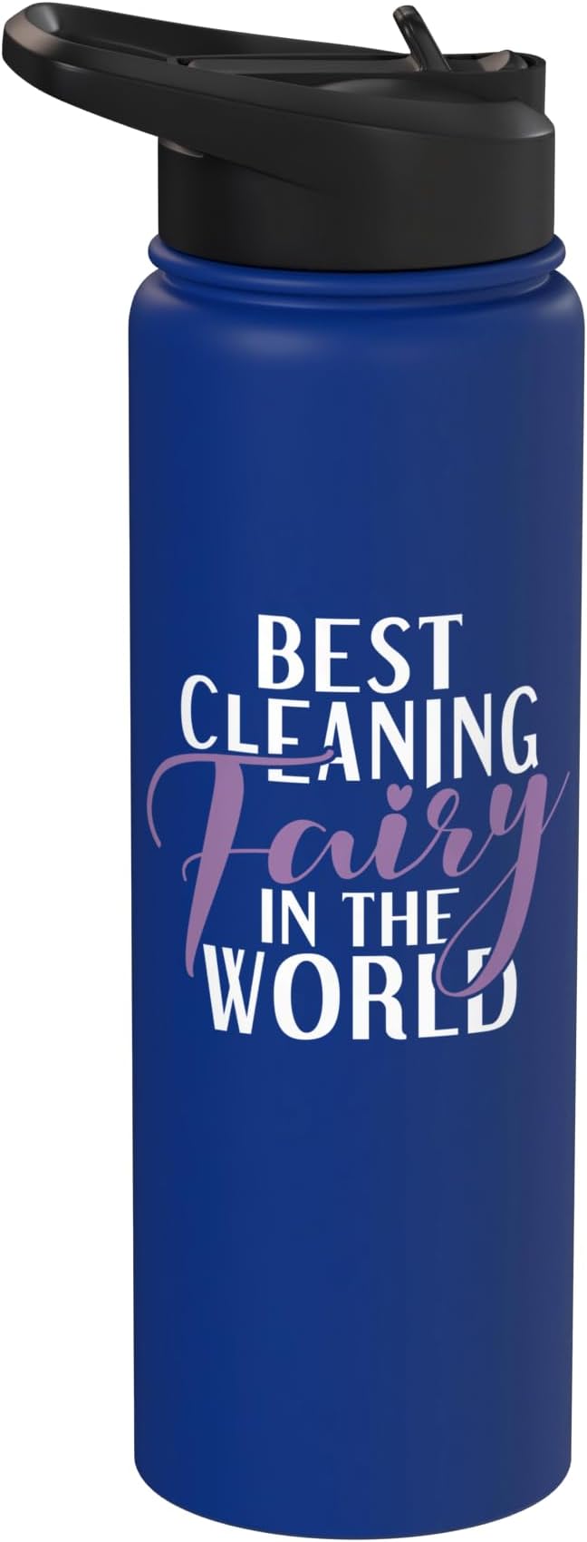 Best Cleaning Fairy in the World Janitor Custodian Stainless Steel Insulated Water Bottle