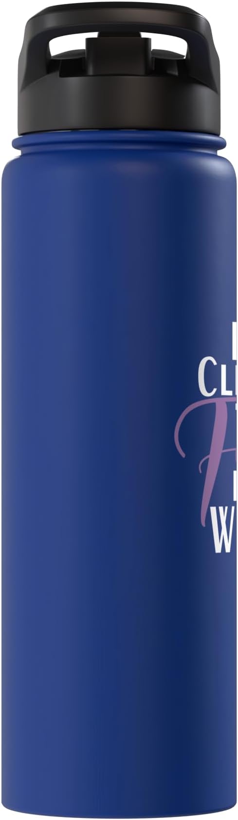 Best Cleaning Fairy in the World Janitor Custodian Stainless Steel Insulated Water Bottle
