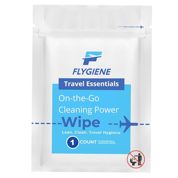 Travel Sanitizing Wipes (100 Count (100 individual wipes))