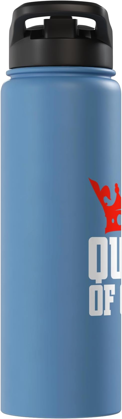 Queen of Clean Cleaning Stainless Steel Insulated Water Bottle