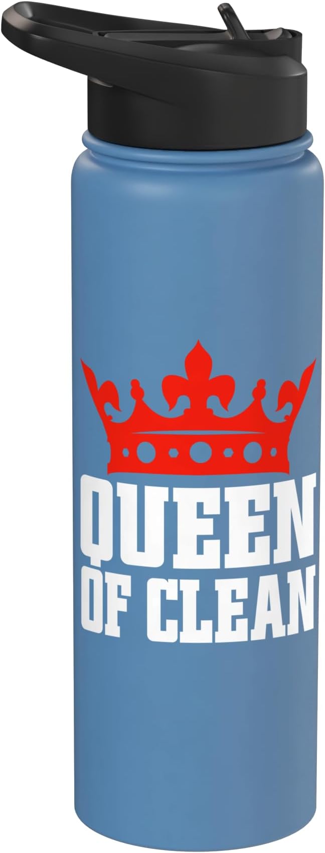 Queen of Clean Cleaning Stainless Steel Insulated Water Bottle