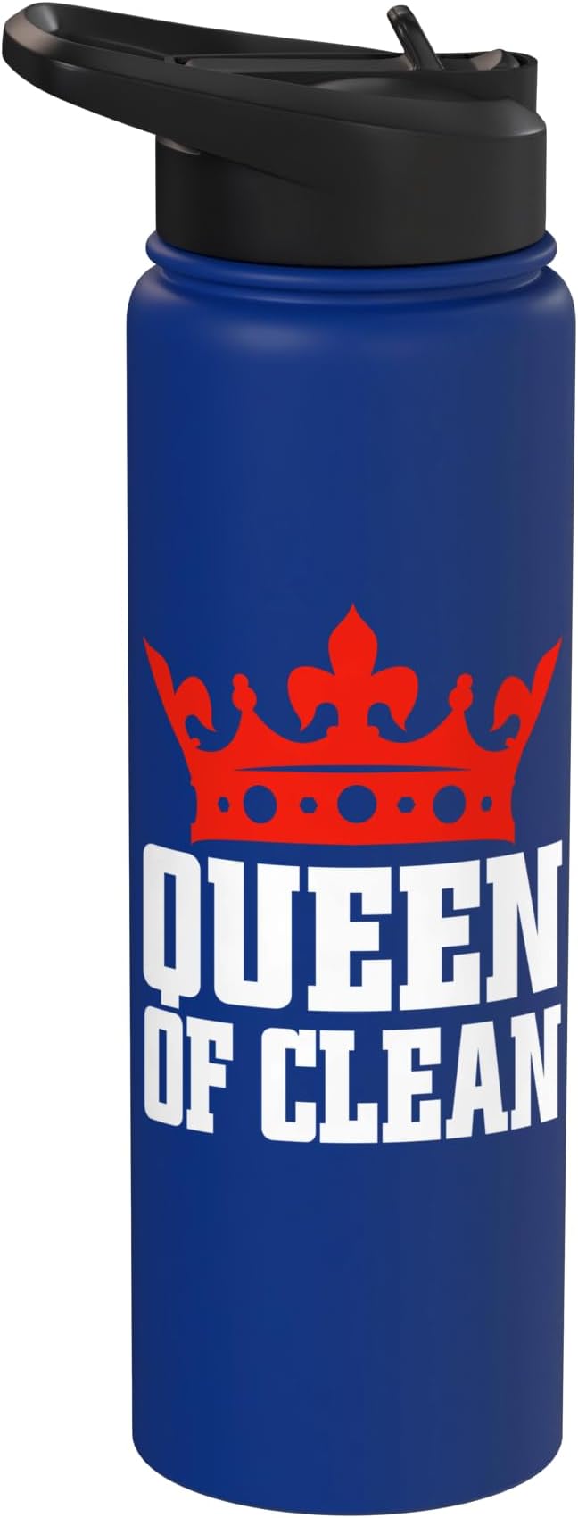 Queen of Clean Cleaning Stainless Steel Insulated Water Bottle