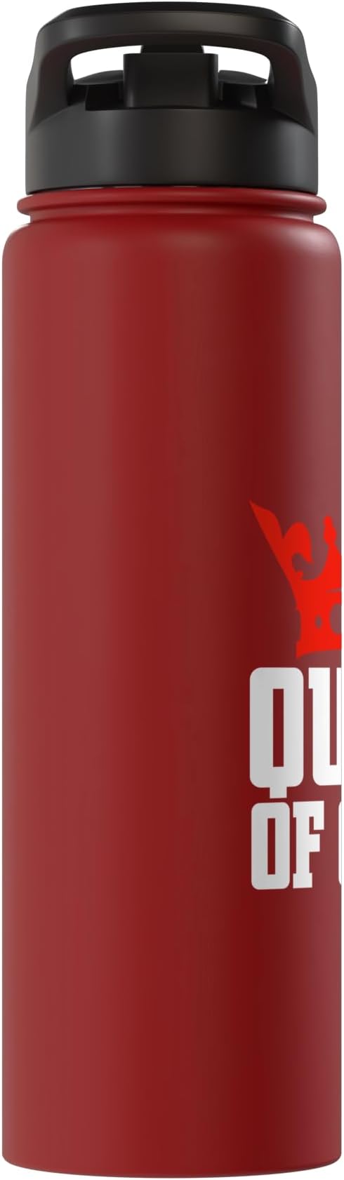 Queen of Clean Cleaning Stainless Steel Insulated Water Bottle