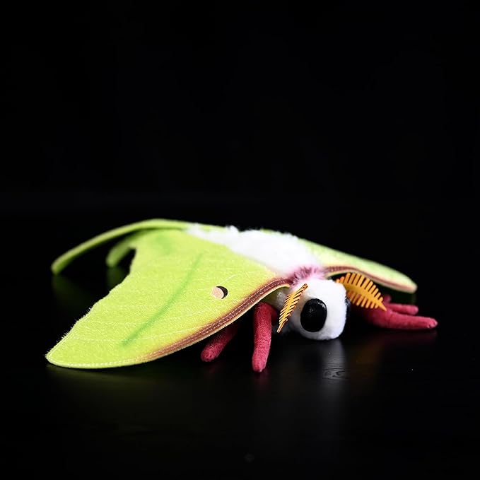 Lifelike Indian Moon Moth Plush - Realistic Actias Selene Stuffed Animal with 15.8 Inch Wingspan for Home Decor and Collection