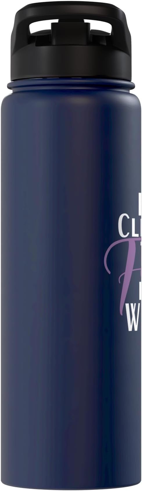 Best Cleaning Fairy in the World Janitor Custodian Stainless Steel Insulated Water Bottle