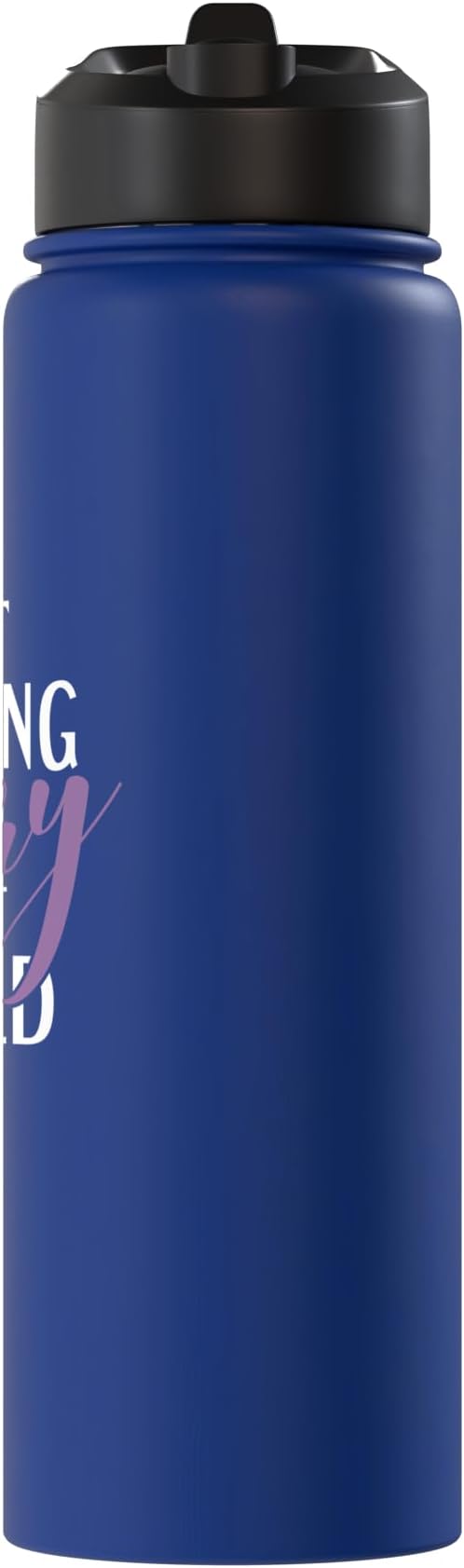 Best Cleaning Fairy in the World Janitor Custodian Stainless Steel Insulated Water Bottle