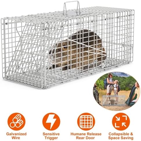 Humane Animal Trap Cage Collapsible Cat Trap Cage Live Animal Rodent Cage with Galvanized Wire for Raccoons Beavers Groundhogs Armadillos