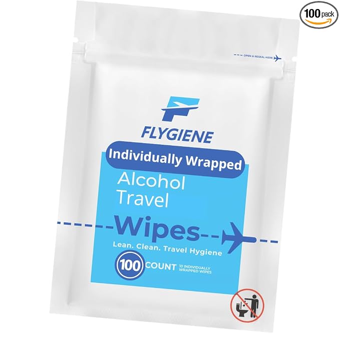 Travel Sanitizing Wipes (100 Count (100 individual wipes))