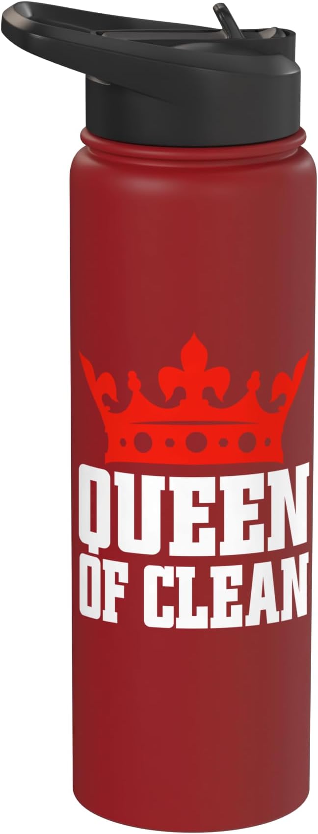 Queen of Clean Cleaning Stainless Steel Insulated Water Bottle