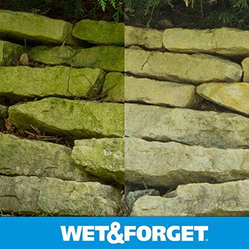 Wet & Forget Moss, Mold, Mildew, & Algae Stain Remover Multi-Surface Outdoor Cleaner Concentrate, Original, 64 Fluid Ounces