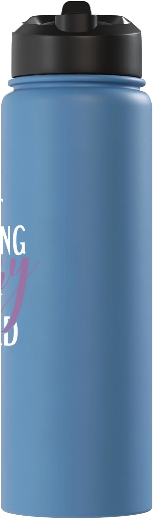 Best Cleaning Fairy in the World Janitor Custodian Stainless Steel Insulated Water Bottle
