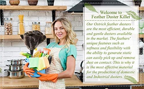 12 Pack Retractable Feather Duster (12 to 16 Inches)