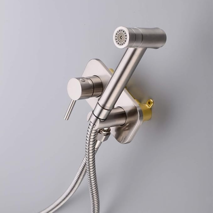 TRUSTMI Toilet Concealed Hot and Cold Bidet Spray Set,Brushed Nickel