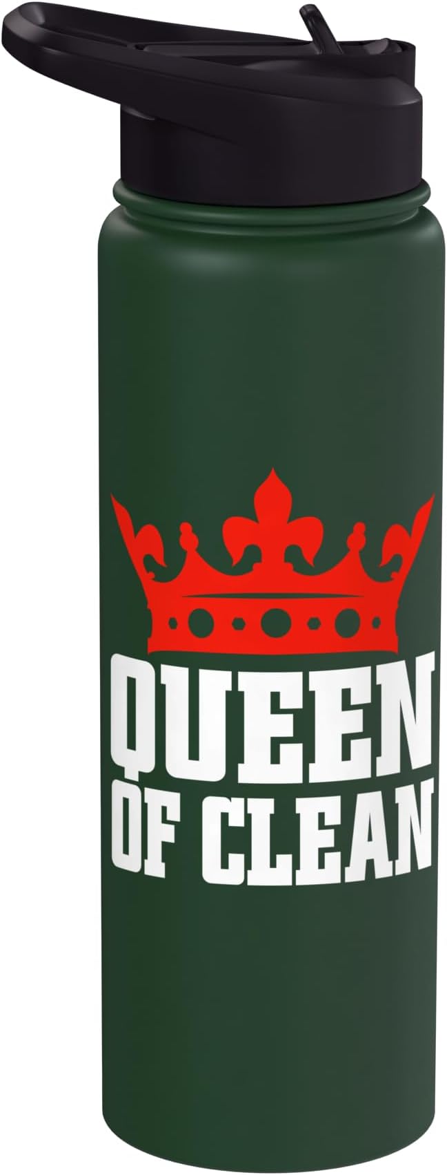 Queen of Clean Cleaning Stainless Steel Insulated Water Bottle