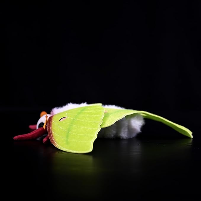 Lifelike Indian Moon Moth Plush - Realistic Actias Selene Stuffed Animal with 15.8 Inch Wingspan for Home Decor and Collection