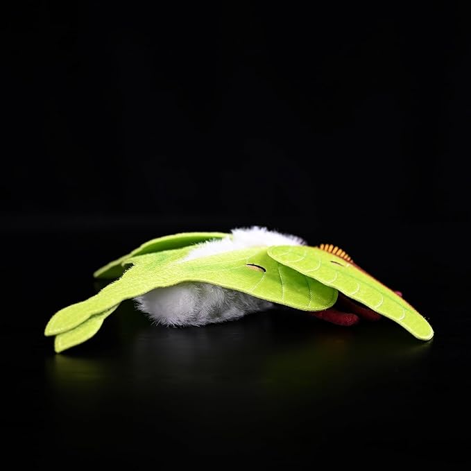 Lifelike Indian Moon Moth Plush - Realistic Actias Selene Stuffed Animal with 15.8 Inch Wingspan for Home Decor and Collection