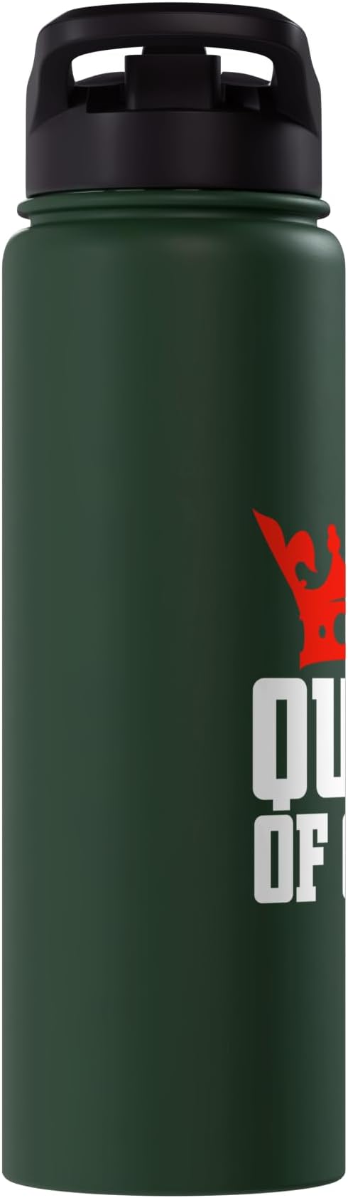 Queen of Clean Cleaning Stainless Steel Insulated Water Bottle