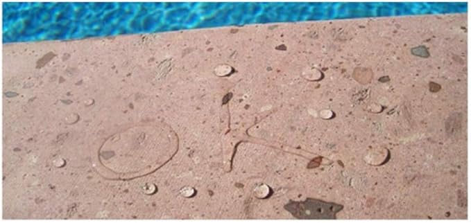 Tile & Stone Sealer