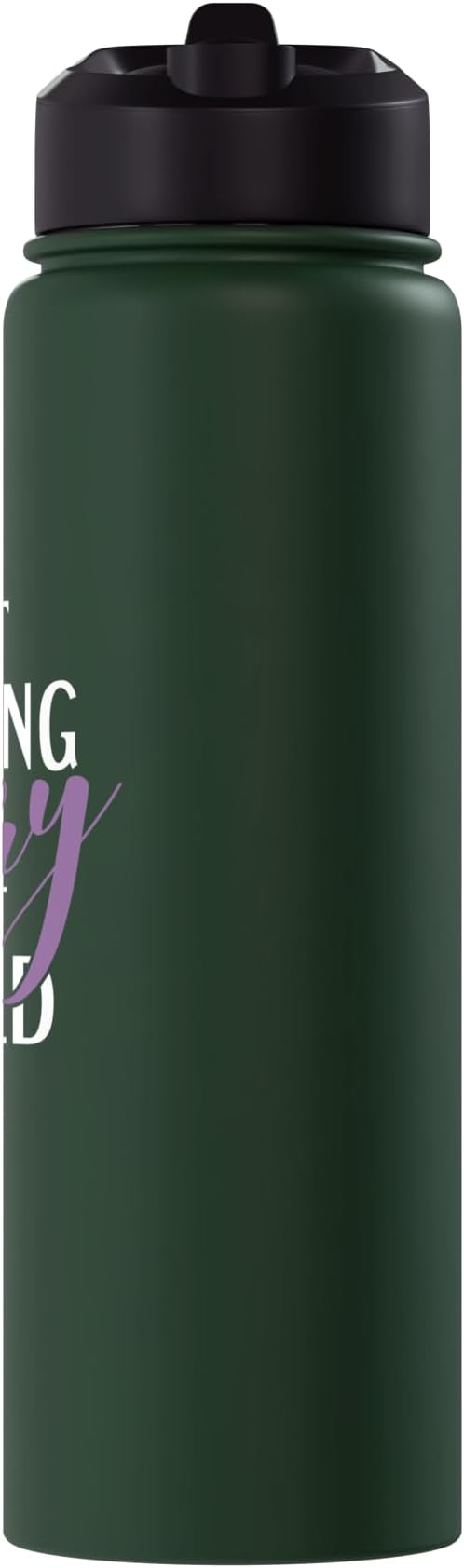 Best Cleaning Fairy in the World Janitor Custodian Stainless Steel Insulated Water Bottle