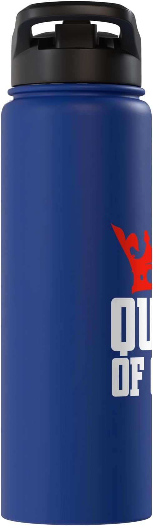 Queen of Clean Cleaning Stainless Steel Insulated Water Bottle
