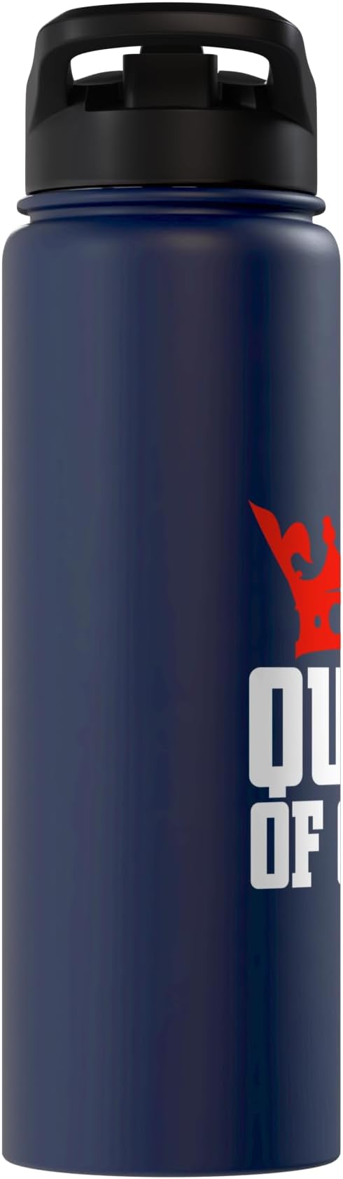 Queen of Clean Cleaning Stainless Steel Insulated Water Bottle