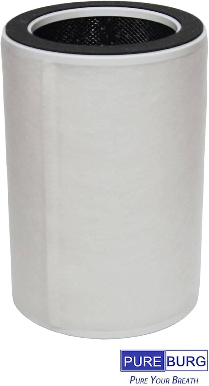 PUREBURG Replacement Filter Compatible with Airthereal Glory Days AGH400 Air Purifier,2-Pack HEPA Activated Carbon 2-in-1 & 8 Pre-Filters For Air Clean Dust VOCs Odor