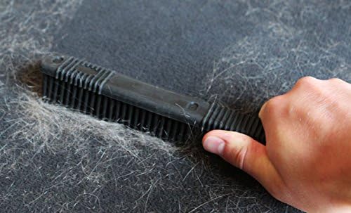 Detail King Pet Hair Removal Kit - Carpet & Upholstery