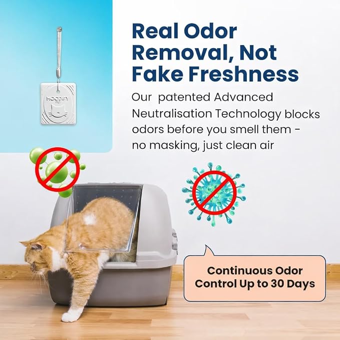 Multi Cat Litter Odor Eliminator 12 Pack | 30-Day Pet Odor Neutralizer | Non-Toxic, Fragrance-Free | MoodifyPet