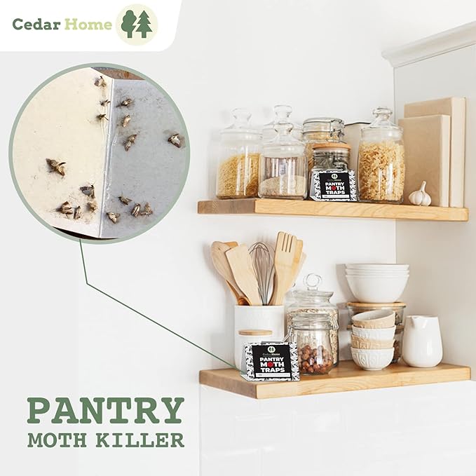 Cedar Hyde Pantry Moth Traps 8-Pack with Pheromones | Long Lasting, Safe, Non-Toxic & No Insecticides | Sticky Glue Pheromone Trap for Kitchen Pantry Moths | U.S.A. Seller