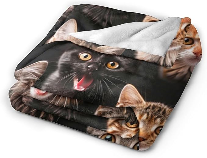 Tijuboni Cats Throw Blanket Cat Gifts for Girls Boys Women Men Kids Adults Soft Flannel Fleece Blanket for Couch Sofa Bed Home Decor 40"x50"