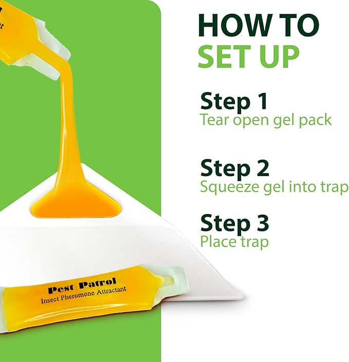 Greenway Pantry Patrol Traps, Non-Toxic Pantry Moth and Insect Control, Gel-Based for Flour Beetles, Grain Storage, and Kitchen Use, 1 Pack (Includes 2 Traps and 2 Lures)