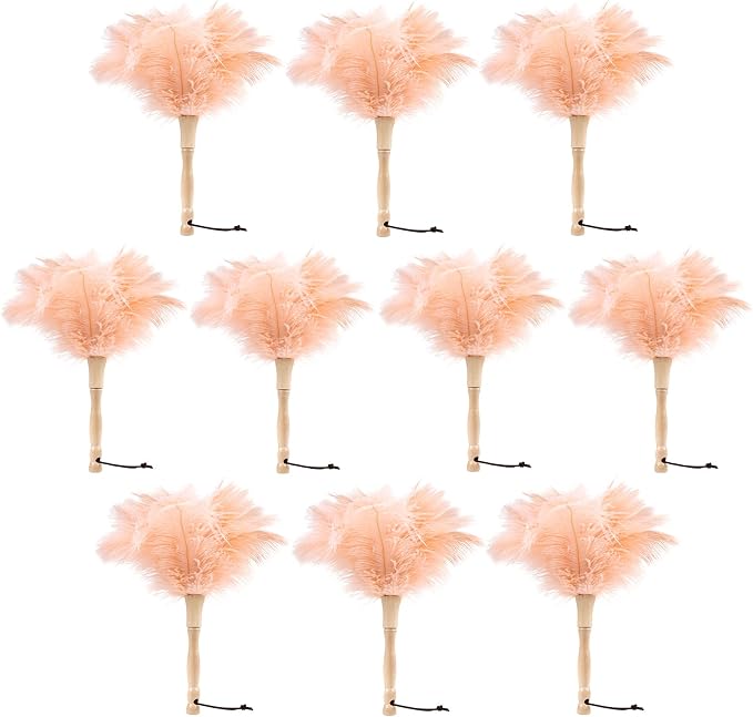 Ostrich Feather Duster 12 Inch Handheld Duster Supplies, Wooden Handle Feather Duster for Cleaning Keyboard Home Car Office (Champagne 10Pcs)
