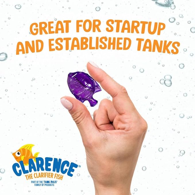 Clarence the Clarifier Fish - 6 pk, Orange - Aquarium Treatment, Clear Cloudy Fresh-Saltwater, Fish-Plant Safe, 10gal Tank Maintenance Each